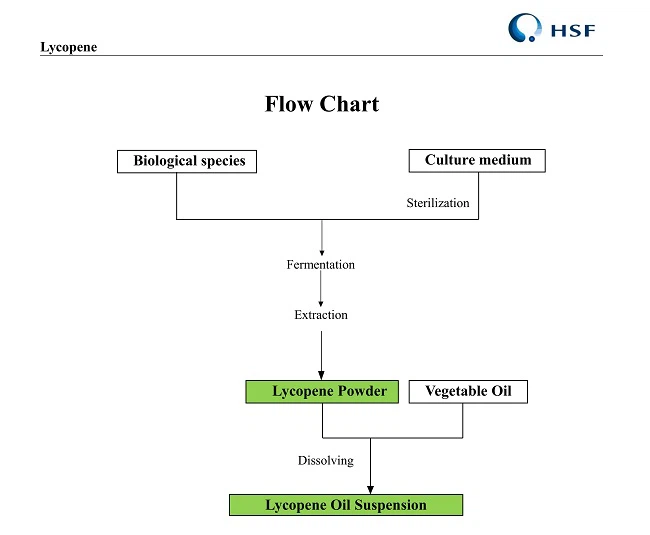 product-650-535 flow chart of Lycopene suspension