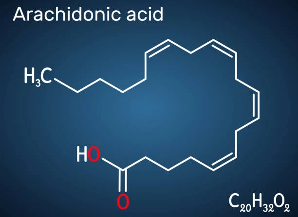 Arachidonic Acid Chemical Structure Arachidonic Acid Chemical Structure