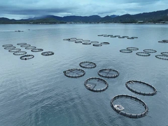 info-612-458 info-612-458