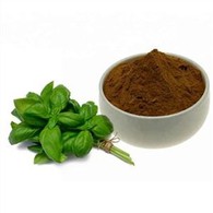 Serbuk Ekstrak Basil Suci