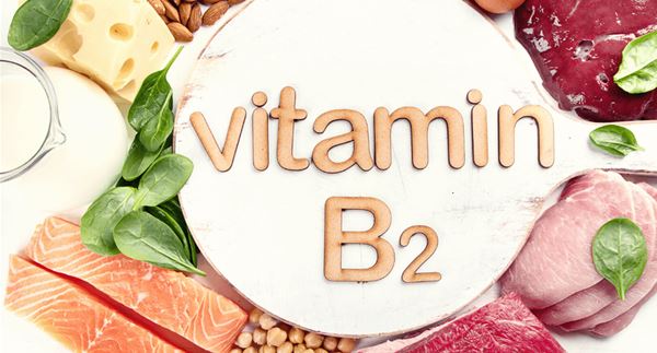 Apa yang dilakukan oleh serbuk Vitamin B2?